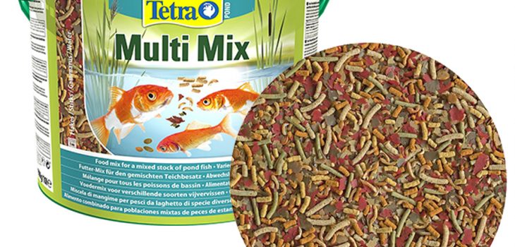 mejor comida de peces variados